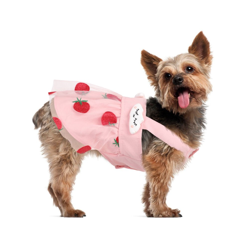 IDOMIK Dog Dress Puppy Lace Wedding Dress Cat Princess Flower Skirt Pet Shirt Strawberry Dress Kittens Vest Outfits Clothes Apparel for Small Medium Dogs Cats Weddings Holidays Travelling Animals & Pet Supplies > Pet Supplies > Cat Supplies > Cat Apparel IDOMIK   