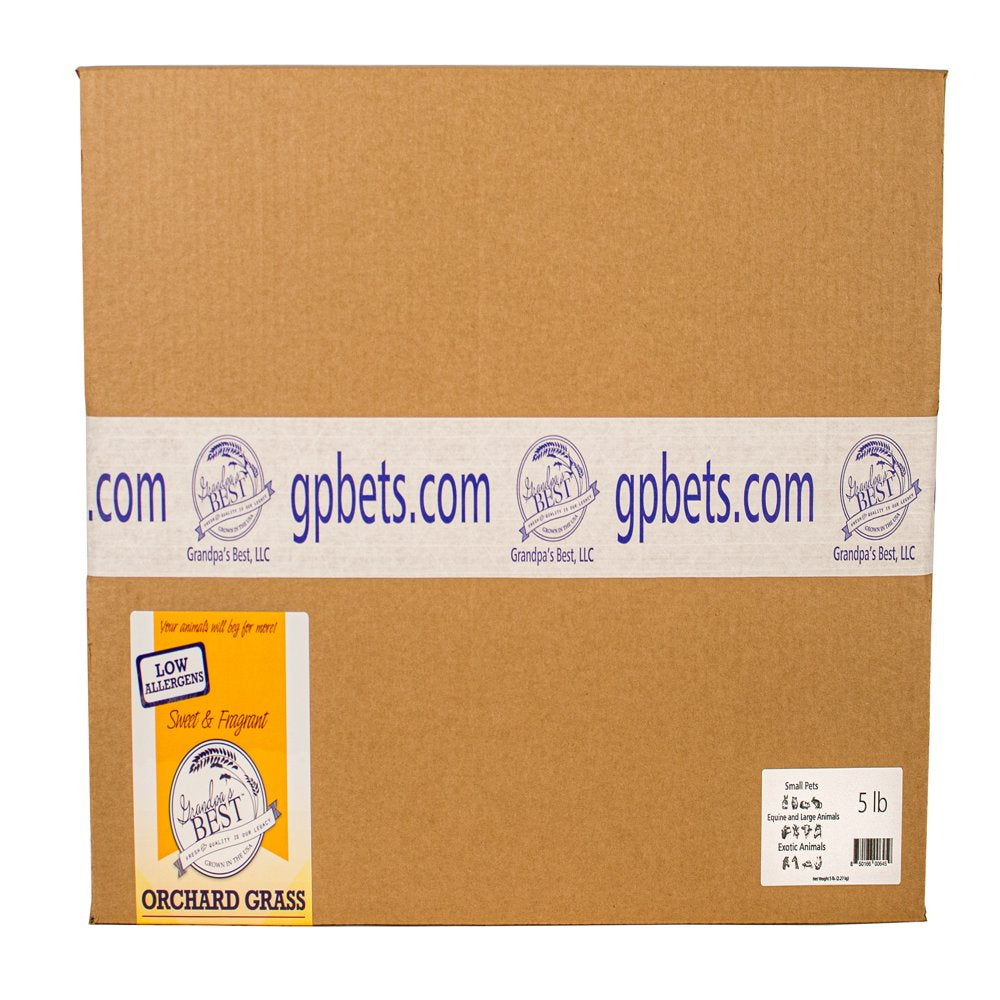 Grandpa'S Best Orchard Grass 5Lb Loose Boxed Hay for Small Animals Animals & Pet Supplies > Pet Supplies > Small Animal Supplies > Small Animal Food Grandpa's Best   