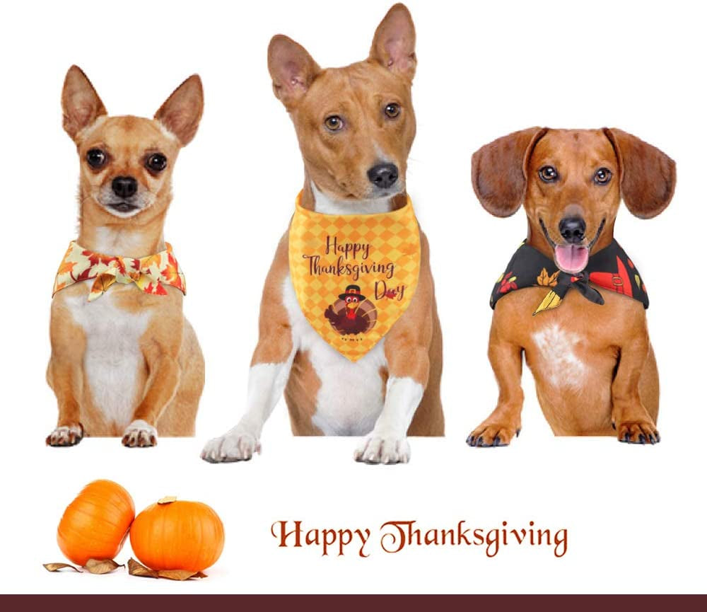 Idepet Autumn Dog Bandana 3 Pack Halloween Fall Pet Triangle Bibs Scarf Cute Turkey Maple Leaf Printing Kerchief Sets Washable Accessories for Small Medium Large Dogs Cats Reversible Animals & Pet Supplies > Pet Supplies > Dog Supplies > Dog Apparel Idepet   