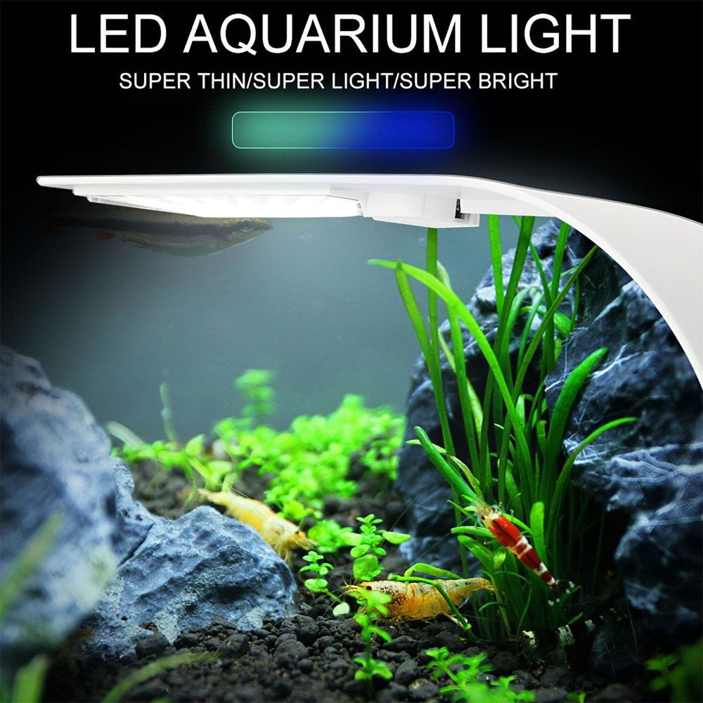 Gustave 10W Super Slim Aquarium LED Light Clip-On Lamp for Fish Tank, Aquatic Plant Lighting -White & Blue Light
