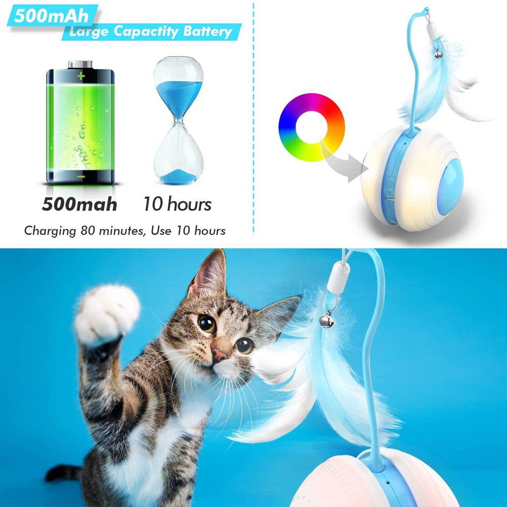UWANTME Interactive Cat Toys Balls, USB Charging, Automatic 360° Rolling Kitten Toys for Indoor Animals & Pet Supplies > Pet Supplies > Cat Supplies > Cat Toys UWANTME   