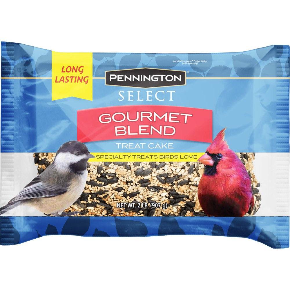 Pennington Premium Gourmet Wild Bird Seed Cake, 2 Lb. Animals & Pet Supplies > Pet Supplies > Bird Supplies > Bird Food CENTRAL GARDEN & PET COMPANY   