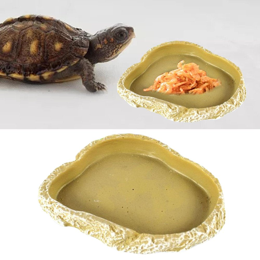 Amphibian Water Dish, Decor Terrarium Pets Worm Reptile Food Bowl Feeders Watering for Lizards, , Gecko, , Hermit Animals & Pet Supplies > Pet Supplies > Reptile & Amphibian Supplies > Reptile & Amphibian Food FITYLE   