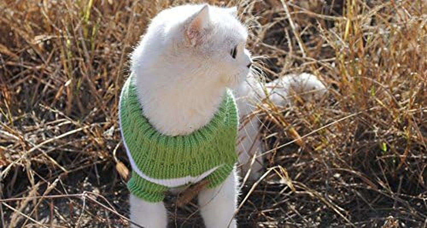 Striped Cat Sweaters Kitty Sweater for Cats Knitwear,Small Dogs Kitten Clothes Male and Female,High Stretch,Soft,Warm (Green, S) Animals & Pet Supplies > Pet Supplies > Dog Supplies > Dog Apparel Evursua   