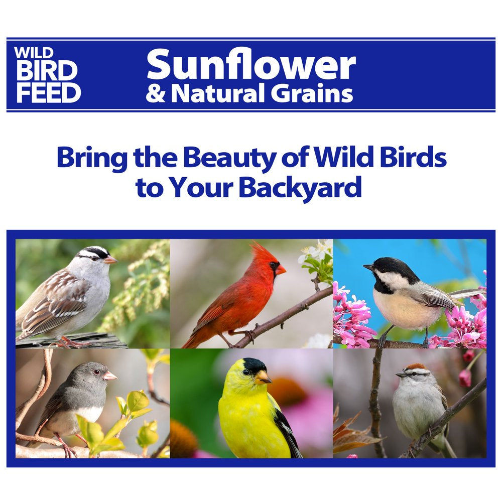 Global Harvest Foods Sunflower & Grains Wild Bird Feed, New, 5 Lb. Bag Animals & Pet Supplies > Pet Supplies > Bird Supplies > Bird Food Global Harvest Foods Ltd.   