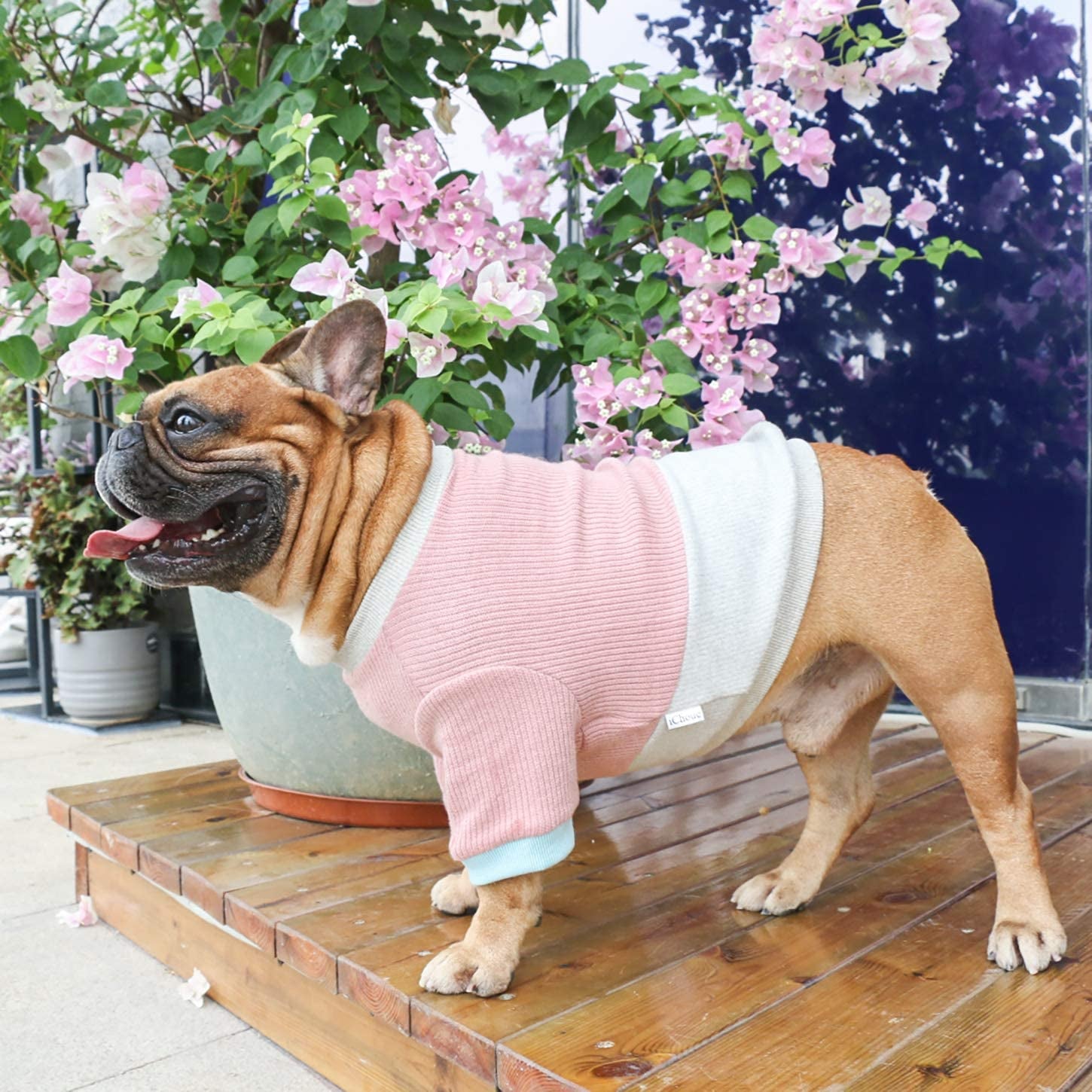 Ichoue Pet Dog Crewneck Sweater Color Block Pullover Winter Warm Clothes for French Bulldog Frenchie Shiba Inu - Pink and Grey/Medium Animals & Pet Supplies > Pet Supplies > Dog Supplies > Dog Apparel iChoue   