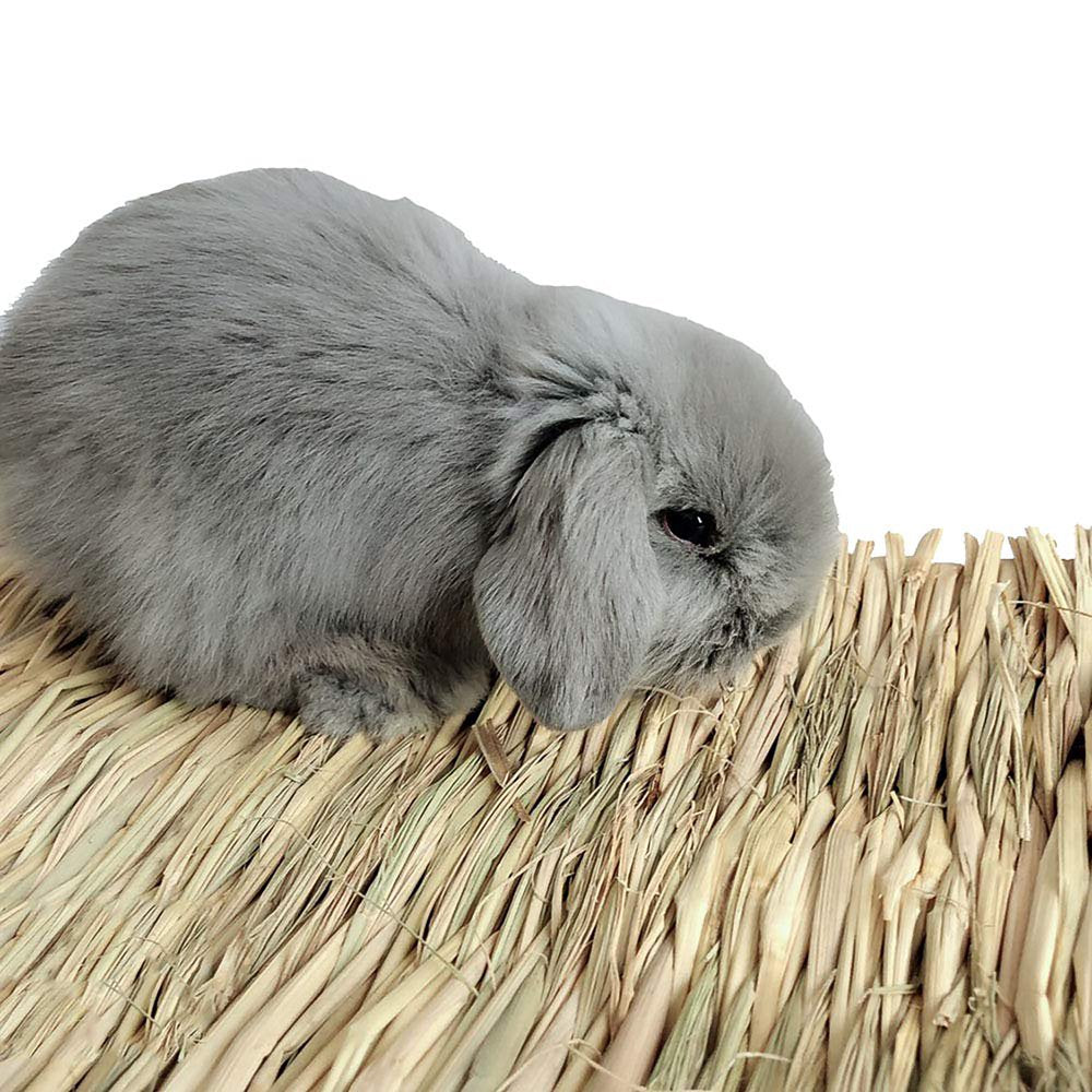 Hay Mat Animal Chewing Toy Bed Natural Woven Grass Mats Multifunctional Comfortable Safe Bunny Bedding Nest for Guinea Pig Parrot Rabbit Animals & Pet Supplies > Pet Supplies > Small Animal Supplies > Small Animal Bedding ALLOMN   