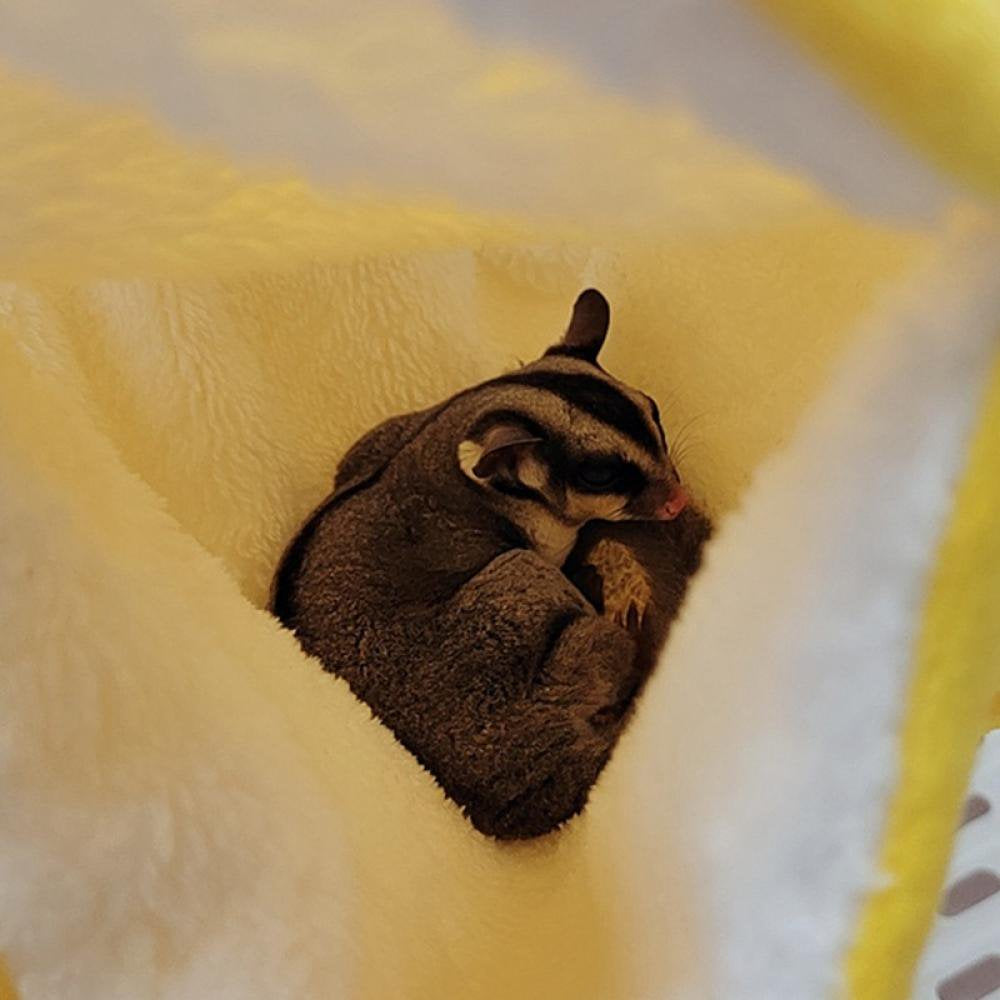 Small Pet Cage Hammock, Hanging Bed for Small Animals Pet Cage Accessories Bedding Animals & Pet Supplies > Pet Supplies > Small Animal Supplies > Small Animal Bedding Hardlegix   