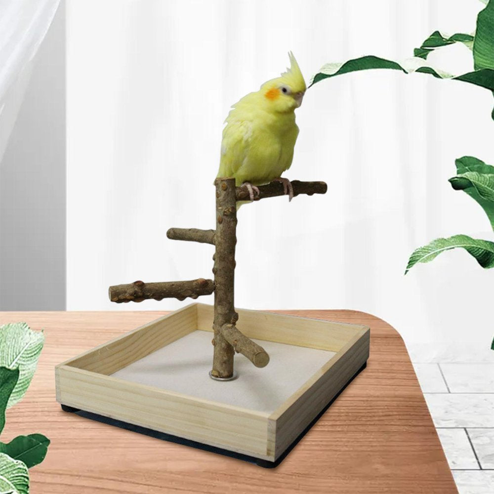 Bird Perch Stand Tabletop,Parrot Playground Bird Gym Natural Wooden Perch Play 36X36X25Cm Animals & Pet Supplies > Pet Supplies > Bird Supplies > Bird Gyms & Playstands Gazechimp   