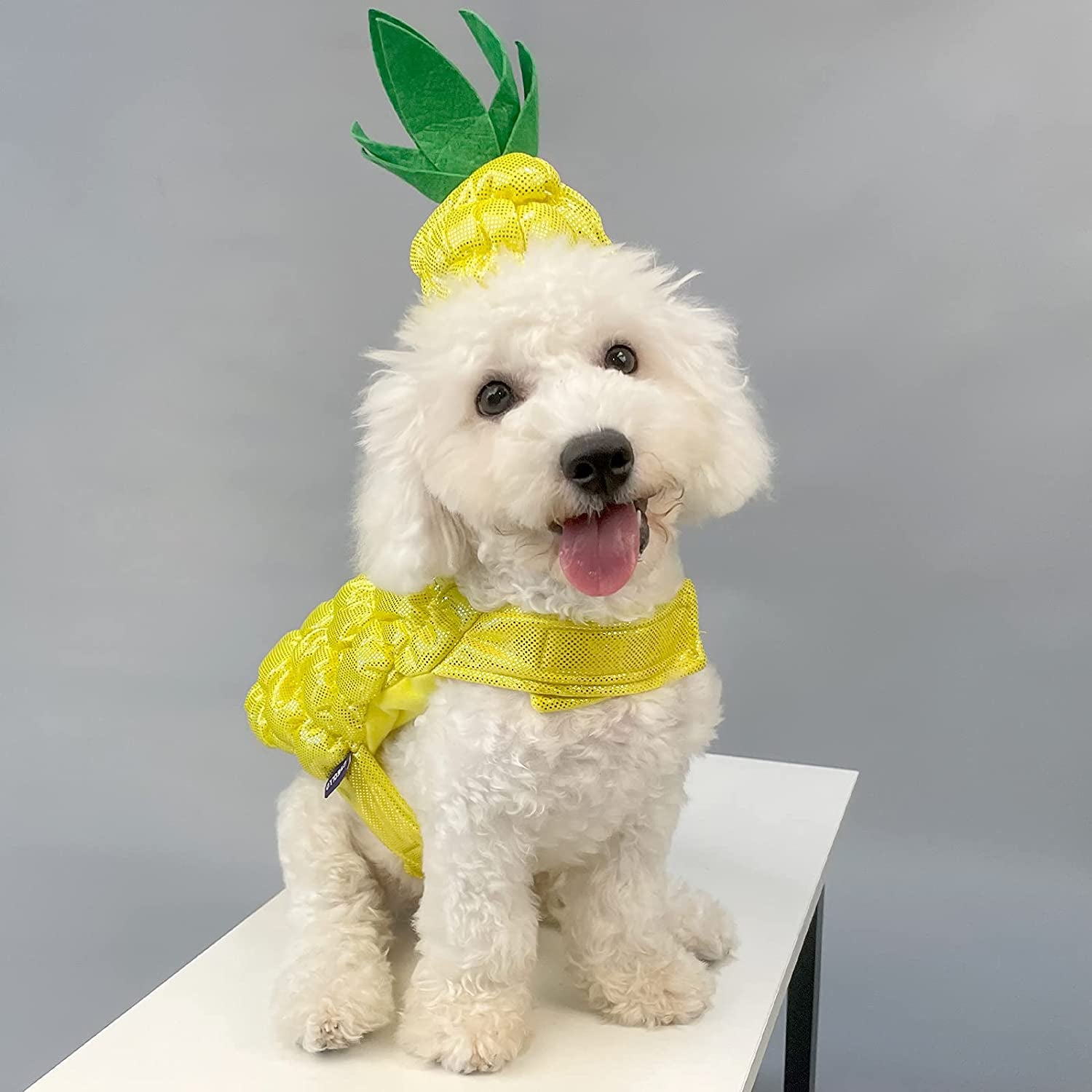 Cyeollo Dog Halloween Costume Pineapple Dress-Up Costumes Outfits Cosplay Funny Holiday Clothes for Small Dogs Size S