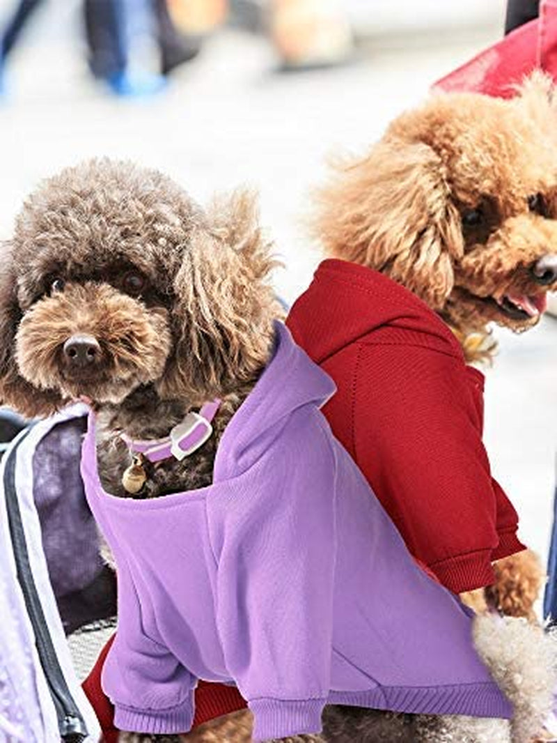 4 Pieces Small Dog Sweaters Dog Hoodie Clothes with Hat for Small Dogs Boy Chihuahua Clothes with Pocket Puppy Pet Winter Clothes Warm Hoodies Coat Sweater Shirt (M) Animals & Pet Supplies > Pet Supplies > Dog Supplies > Dog Apparel Syhood   