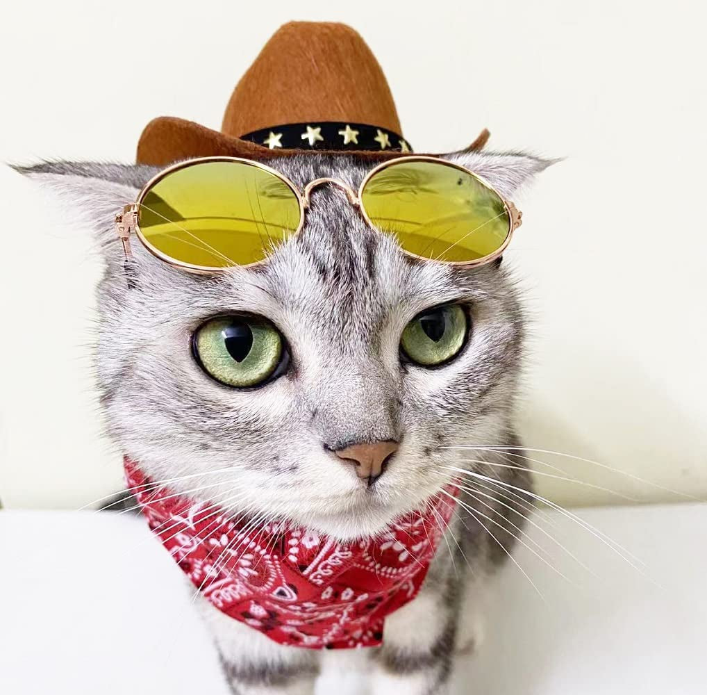 Gallarato Cowboy Costume for Pet Cowboy Bandanna Cowboy Hat for Pet Cowgirl Bandanna Sunglasses Hiphop Costume for Pet Hippie Costume Animals & Pet Supplies > Pet Supplies > Dog Supplies > Dog Apparel GallaRato   