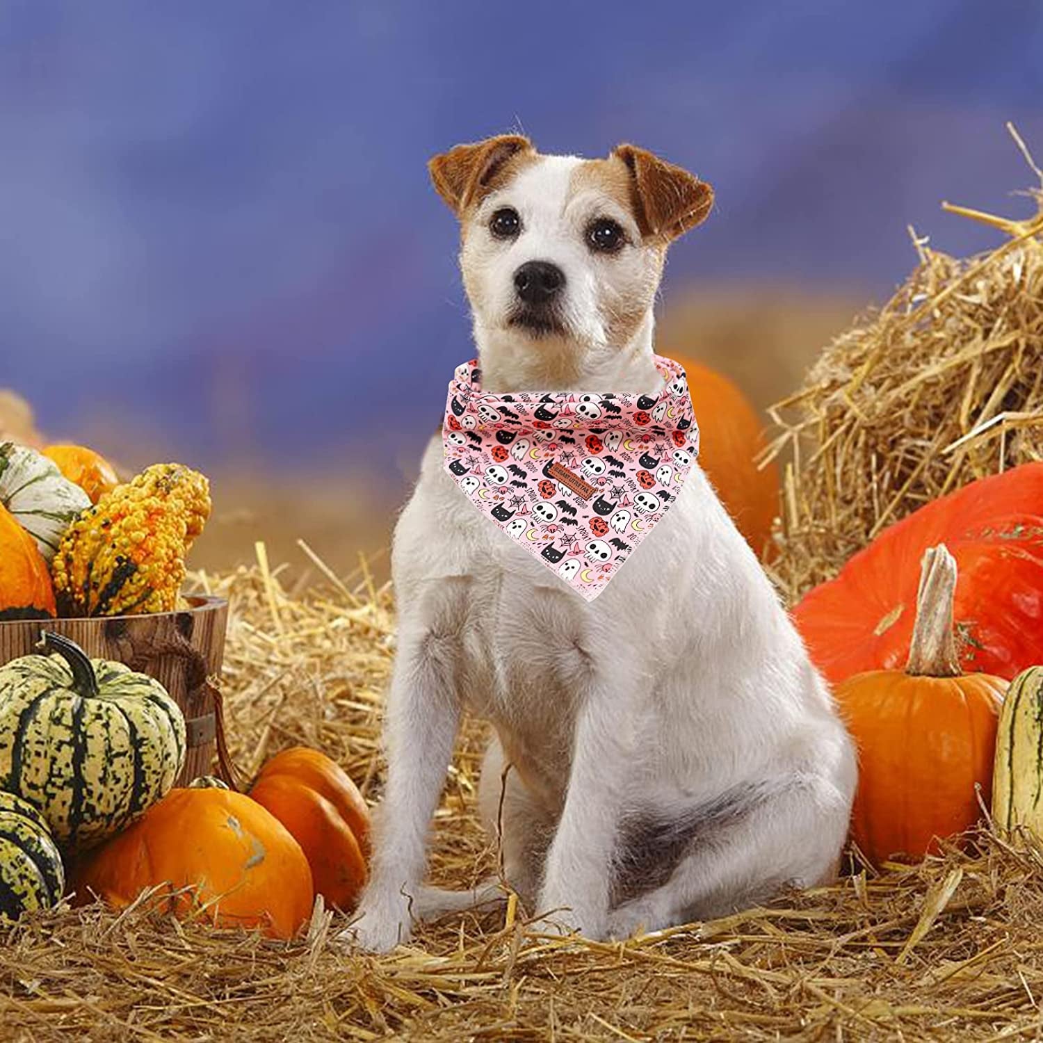 Elegant Little Tail Dog Bandana, Halloween Pumpkin Girl Boy Dog Bandanas for Small Medium Large Dogs Washable Square Dog Scarf Adjustable Dog Kerchief Animals & Pet Supplies > Pet Supplies > Dog Supplies > Dog Apparel Elegant little tail   