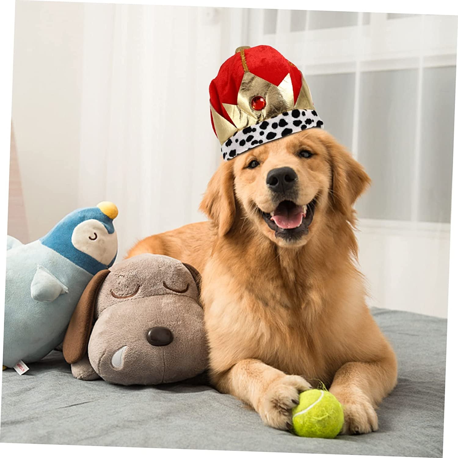 Pet Supplies : Crown Chew Toy and Ball 