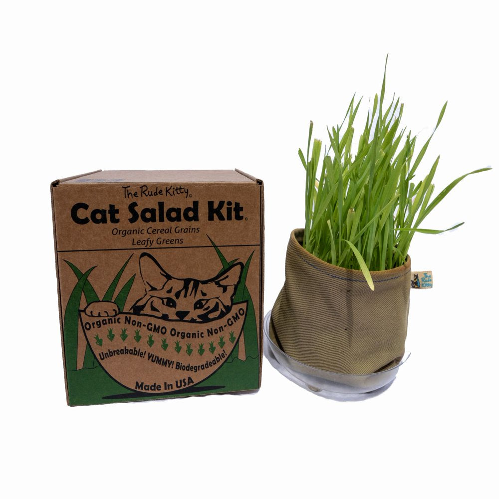 Organic Cat Grass Kit (Cat Salad) Organic Greens, Eco-Friendly, Brand: the Rude Kitty Animals & Pet Supplies > Pet Supplies > Cat Supplies > Cat Treats The Rude Kitty   