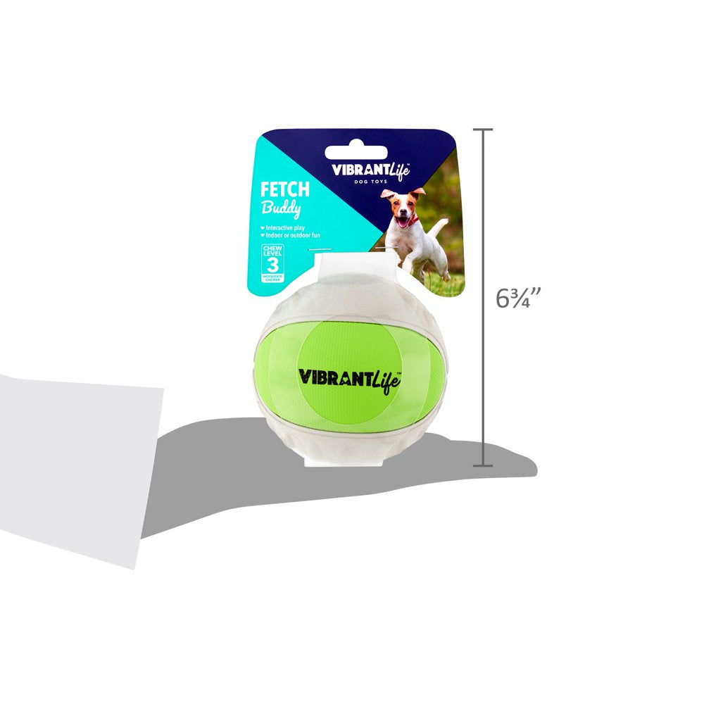 Vibrant Life Fetch Buddy Interactive Ball Dog Fetch Toy, Color May Vary, Medium, Chew Level 3