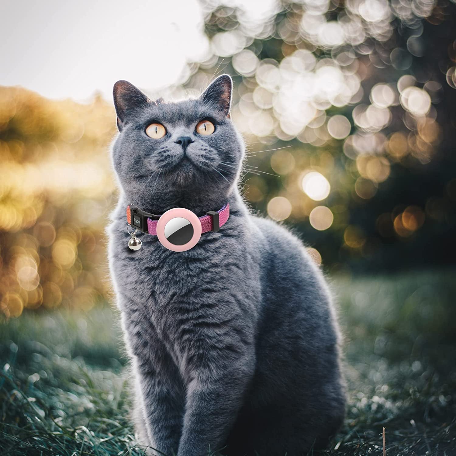 Air Tag Cat Collar, Cat Collar with Bell and Sturdy Buckle for Small Pets, Adjustable Kitten Collar with Airtag Holder Compatible with Apple Airtag for Cats, Kittens, Puppies Electronics > GPS Accessories > GPS Cases typecase   