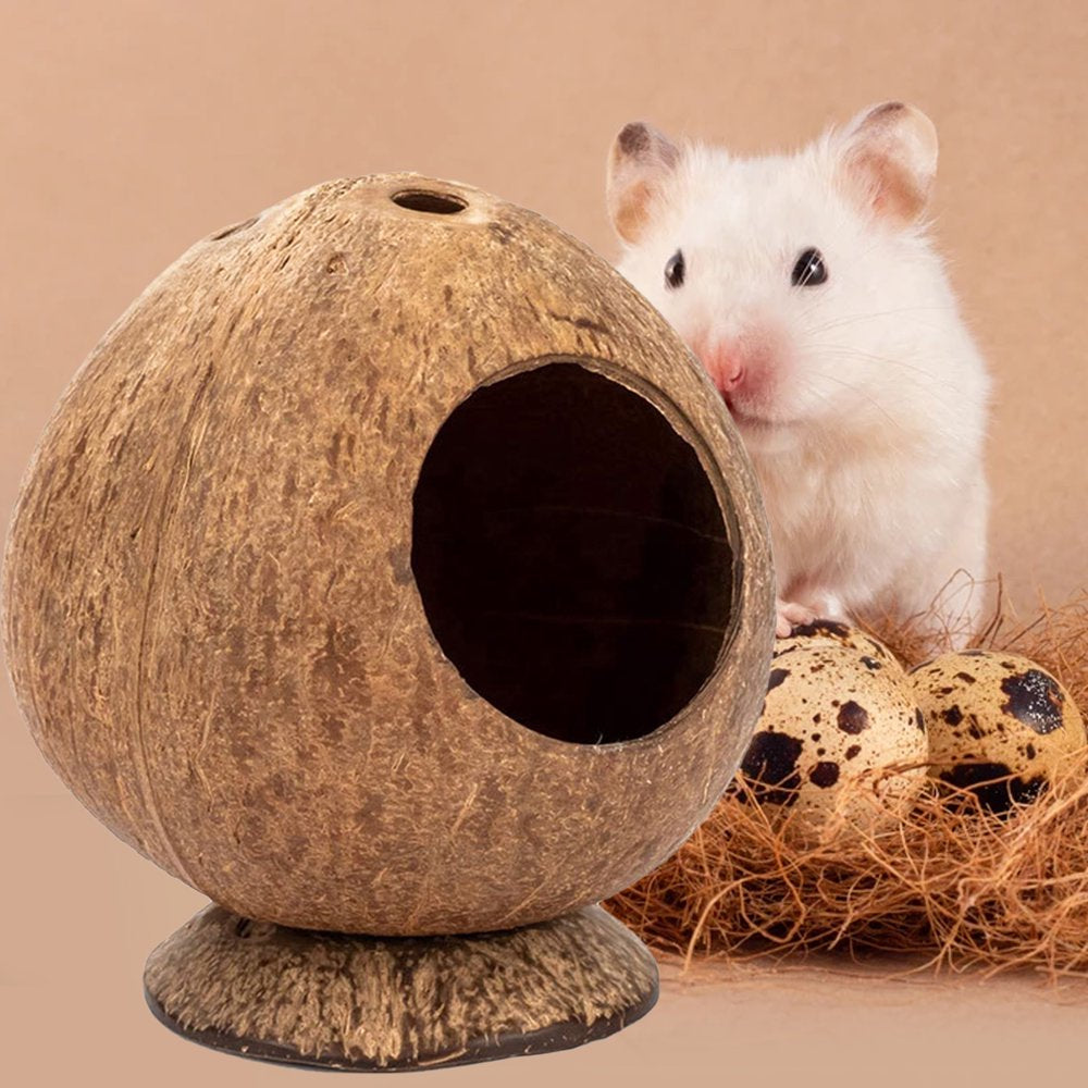 Meidiya Coconut Hut Hamster House Bed Small Animals Cage Accessories for Hamsters Hedgehogs Guinea Pigs Parrots Sugar Gliders Small Animal Cage Habitat Decor Animals & Pet Supplies > Pet Supplies > Small Animal Supplies > Small Animal Habitats & Cages Meidiya   