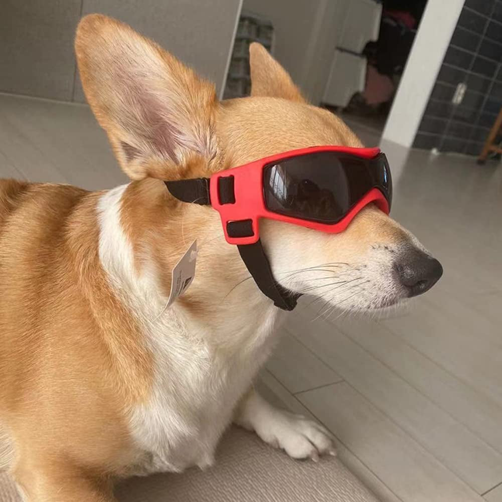 Dog Goggles Small or Medium Dog Sunglasses Anti-Uv Waterproof Windproof Glasses Dog Eyewear for Small Medium Breed (Red) Animals & Pet Supplies > Pet Supplies > Dog Supplies > Dog Apparel JIALI7SEC   