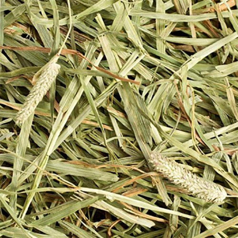 Small Pet Select 2Nd Cutting &Quot;Perfect Blend&Quot; Timothy Hay Pet Food 2 Lb. Animals & Pet Supplies > Pet Supplies > Small Animal Supplies > Small Animal Food Small Pet Select Inc.   