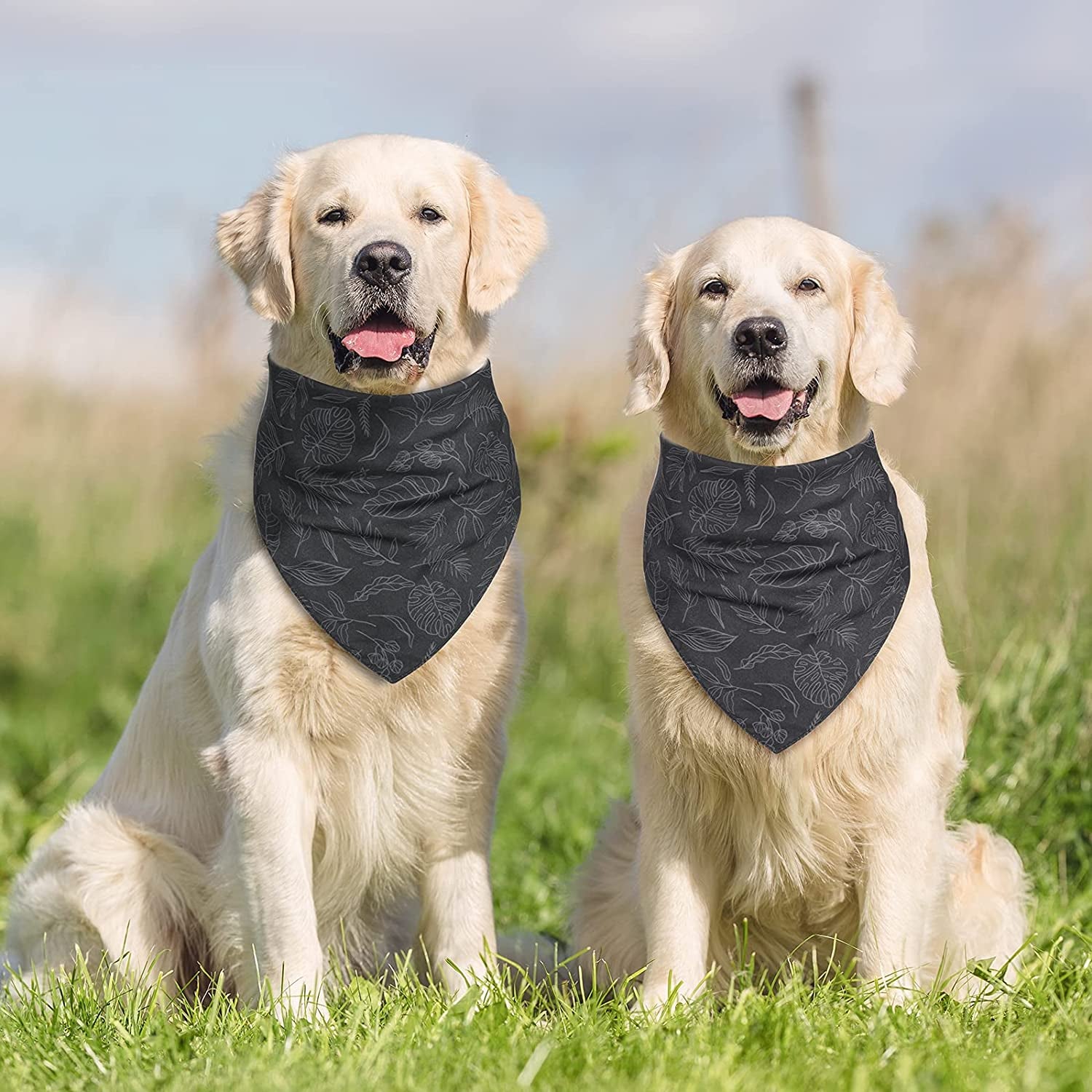 My Humans Are Getting Married She Said Yes Wedding Dog Bandanas Scarf for Bridal Party Engagement Gift Announcement Wedding Photo Prop, 2 Pack Animals & Pet Supplies > Pet Supplies > Dog Supplies > Dog Apparel Retro Shaw   