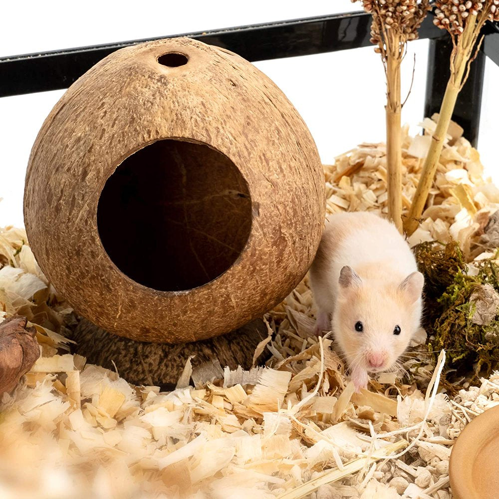 Coconut Hut Hamster House Bed: for Gerbils Mice Small Animal Cage Habitat Decor for Dwarf Syrian Hamster Mice Gerbils