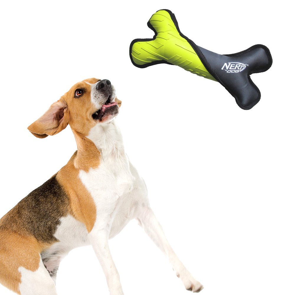 Nerf Dog Solid Tuff Nylon Rubber Bone Dog Toy, 11-Inch Animals & Pet Supplies > Pet Supplies > Dog Supplies > Dog Toys Gramercy Products, Inc.   