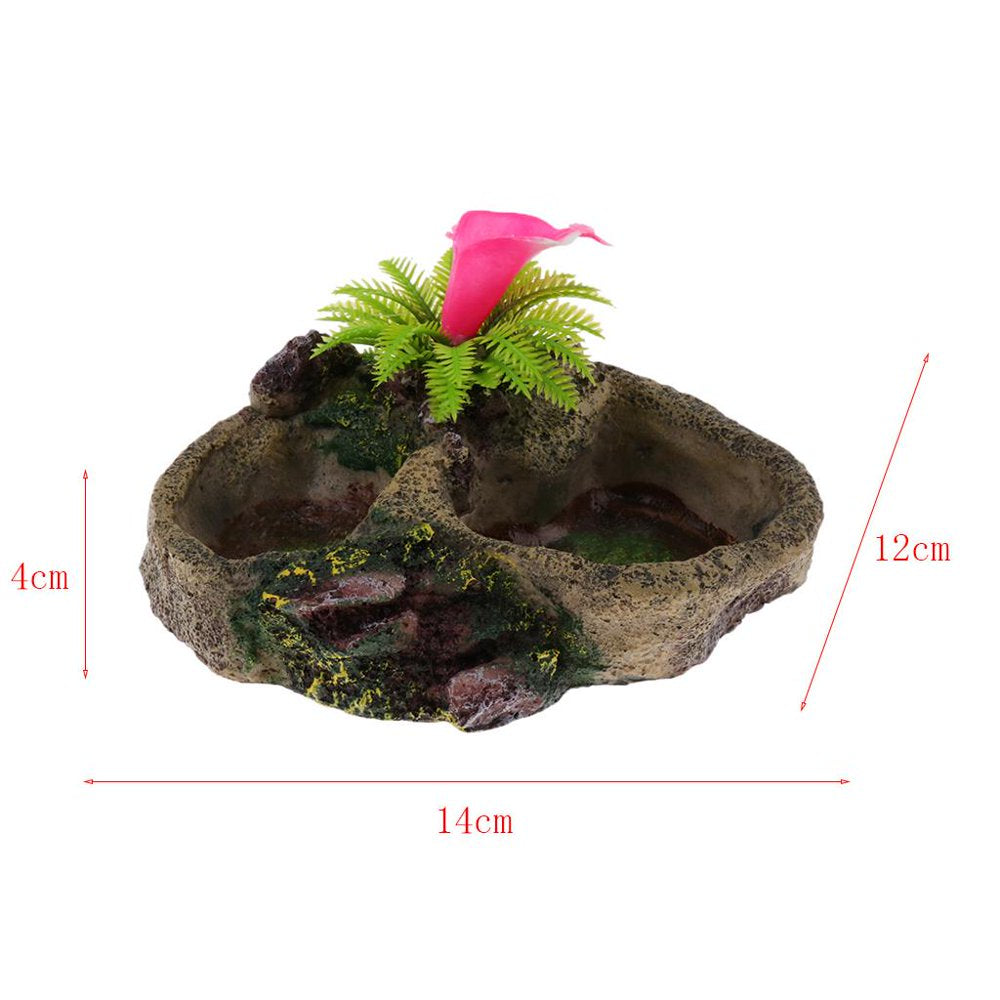 Water Dish Food Tray Bowl Pool for Amphibians Reptile Turtle 008 Animals & Pet Supplies > Pet Supplies > Reptile & Amphibian Supplies > Reptile & Amphibian Food perfk   