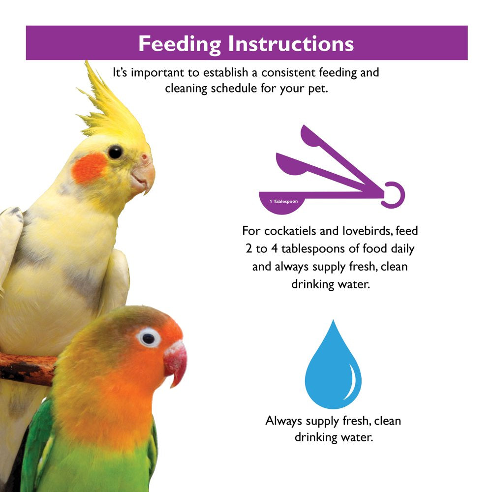 Encore Premium Cockatiel Food, 8 Lb. Animals & Pet Supplies > Pet Supplies > Bird Supplies > Bird Food F.M. Brown's Sons, Inc.   