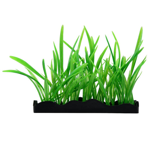 Penn Plax Green Bunch Plt Pdq, Green, Plastic Animals & Pet Supplies > Pet Supplies > Fish Supplies > Aquarium Decor Penn Plax   