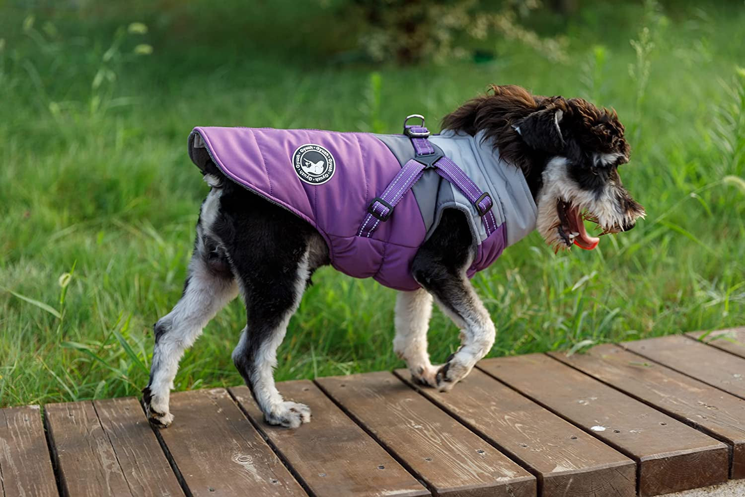 Winter dog jackets sale for large dogs