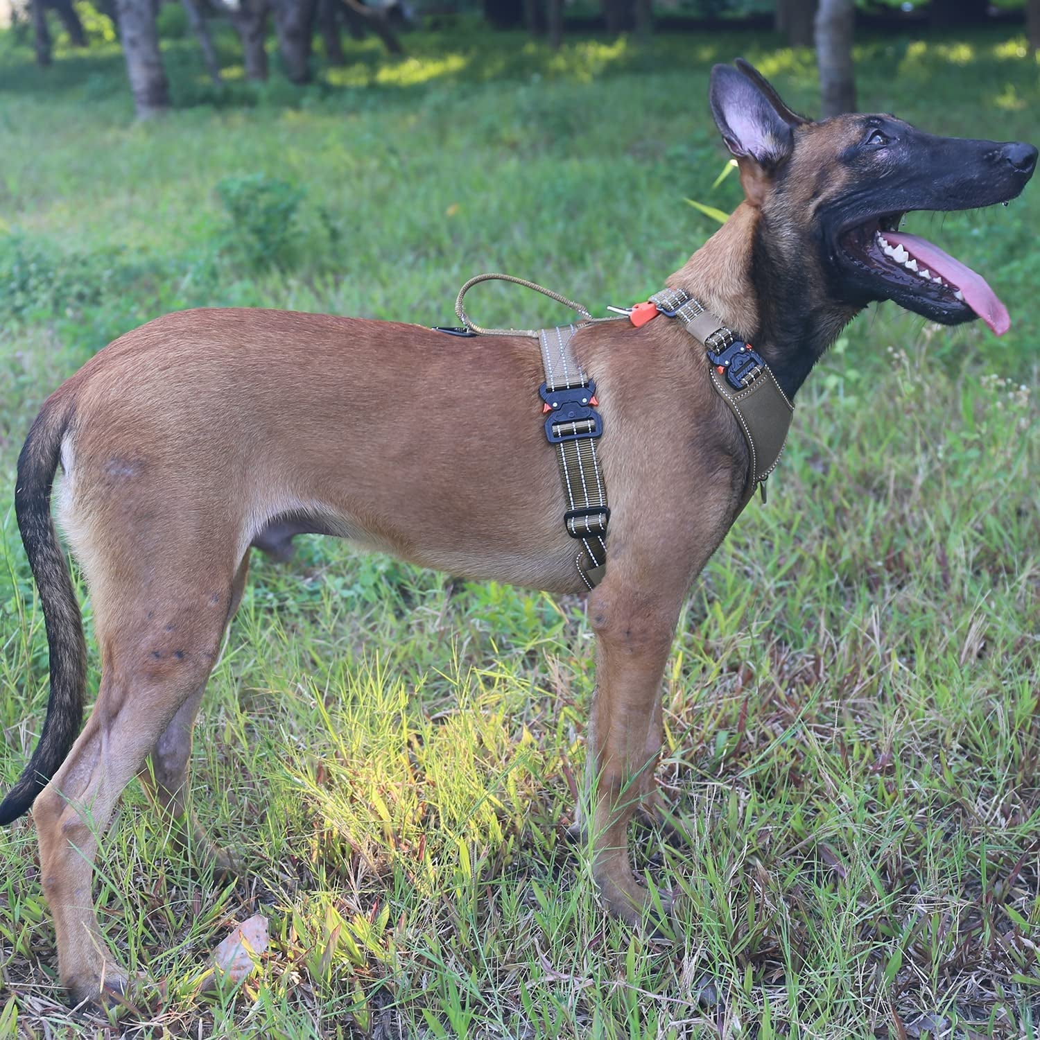 ICEFANG Tactical Dog Strap Harness (Full Metal Clip ) ,Pet Vest with Handle,5 Point Adjustable,Y-Shape Chest ,No-Pull Leash Clip for Walking Training (L (Neck:18"-24";Chest:28"-35"), Coyote Brown) Animals & Pet Supplies > Pet Supplies > Dog Supplies > Dog Apparel Frostwolf   