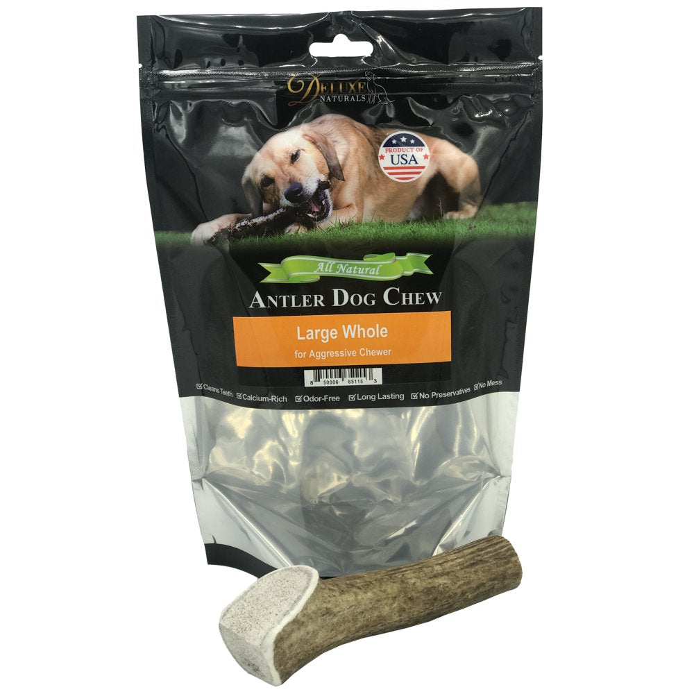 Deluxe Naturals Elk Antler Dog Chew 6-Pack, Medium Split Antlers Animals & Pet Supplies > Pet Supplies > Dog Supplies > Dog Toys Deluxe Naturals Whole L 1