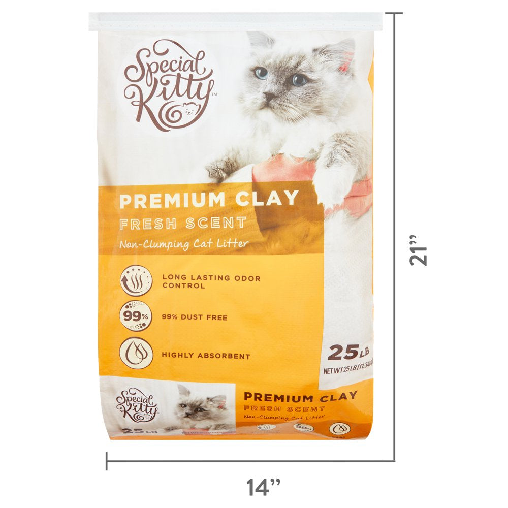 Special Kitty Premium Clay Non-Clumping Cat Litter, Fresh Scent, 25 Lb Animals & Pet Supplies > Pet Supplies > Cat Supplies > Cat Litter Wal-Mart Stores, Inc.   