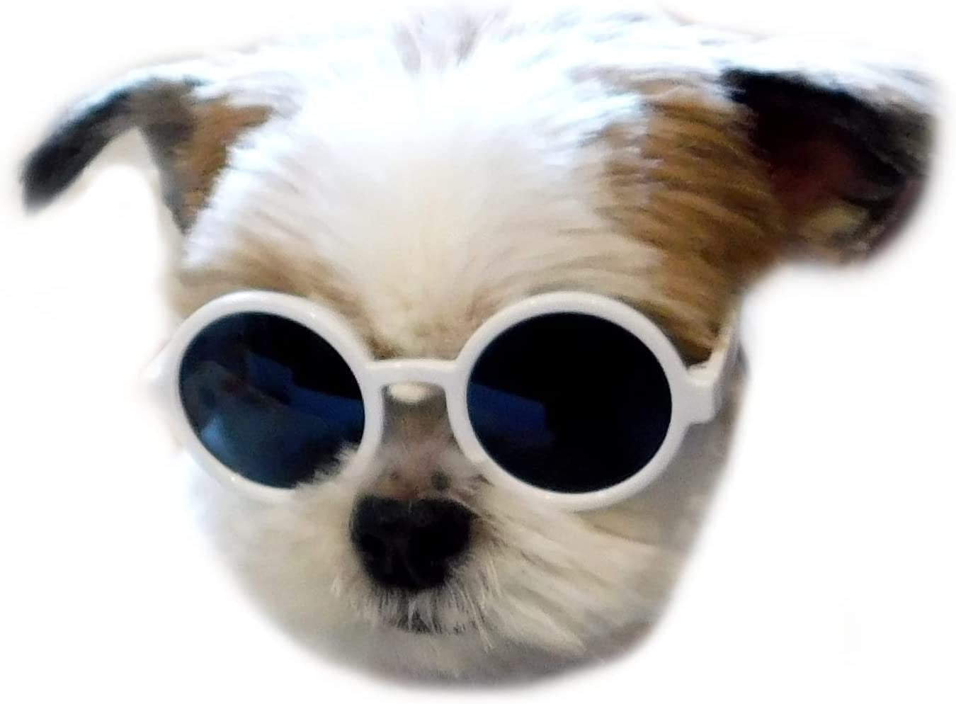 G016 Dog Pet round Sunglasses Goggles for Small Dogs up to 15Lbs (Black) Animals & Pet Supplies > Pet Supplies > Dog Supplies > Dog Apparel Style Vault White  