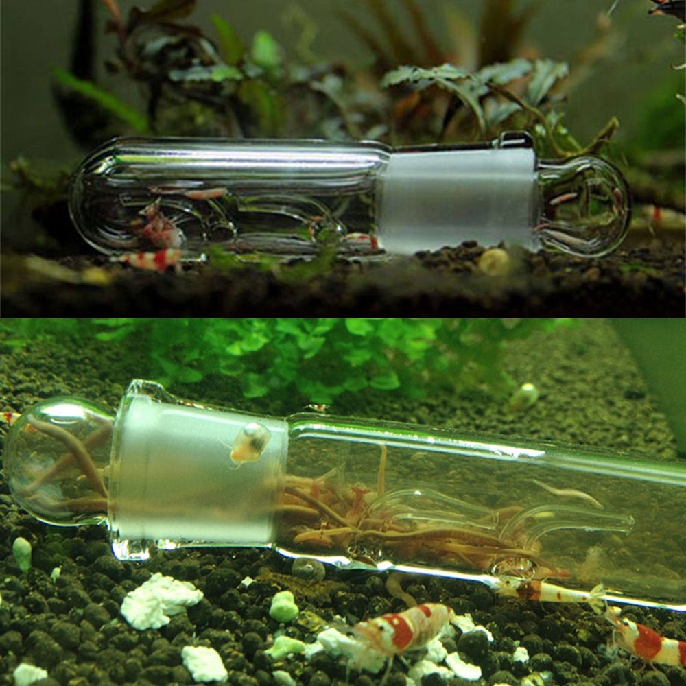 Planaria Trap Aquarium Worm Catcher Ghost Shrimp Freshwater Cleaning Supplies Animals & Pet Supplies > Pet Supplies > Fish Supplies > Aquarium Cleaning Supplies MINIPI   