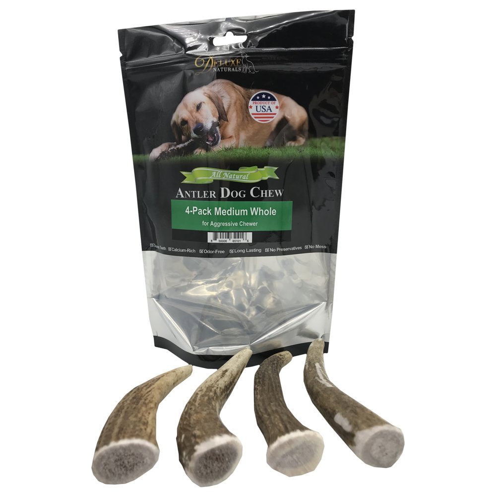 Deluxe Naturals Elk Antler Dog Chew 6-Pack, Medium Split Antlers Animals & Pet Supplies > Pet Supplies > Dog Supplies > Dog Toys Deluxe Naturals Whole M 4