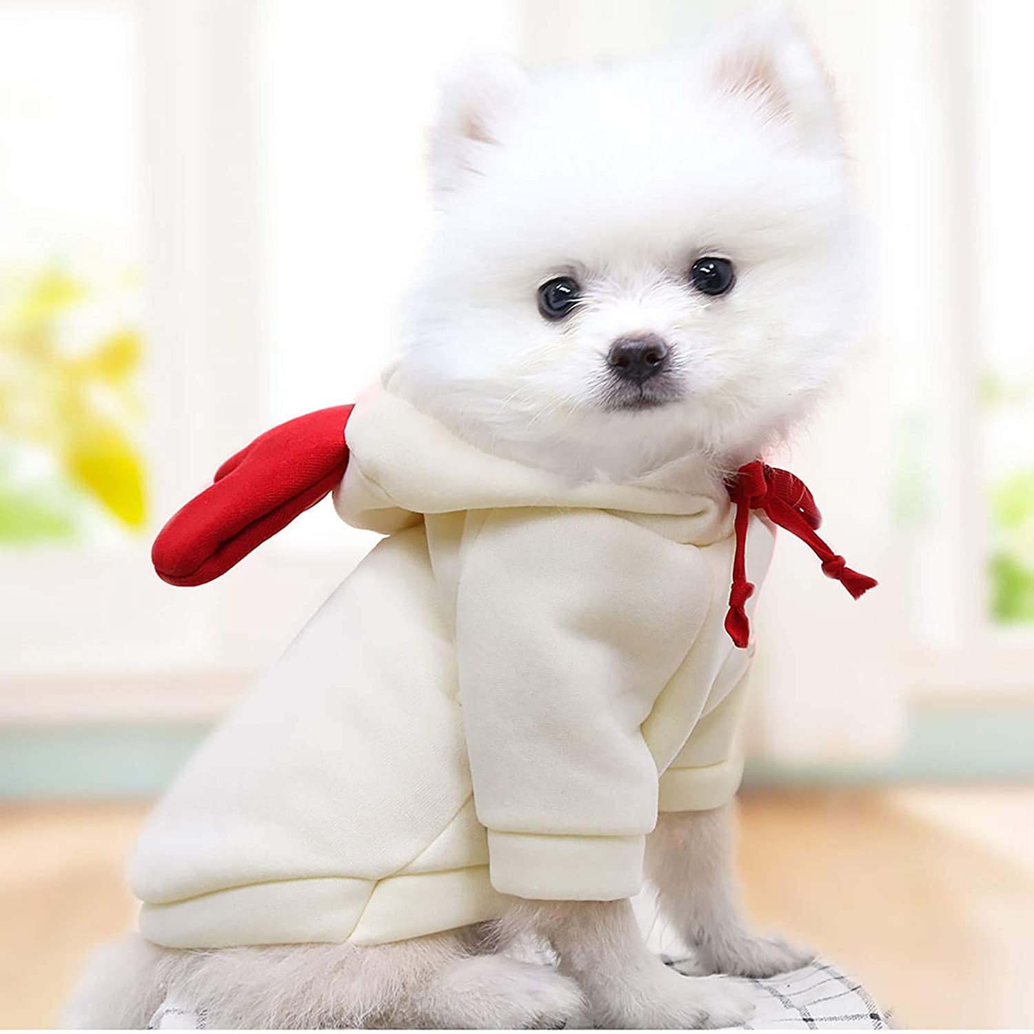 Puppy Sweaters for Small Dogs Girl Clothing Jacket Dog Coat Warm Casual for Dogs Clothes Pet Clothes Animals & Pet Supplies > Pet Supplies > Dog Supplies > Dog Apparel HonpraD   