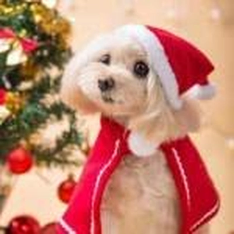 Cat Dog Cloak, Santa Claus Christmas Clothes,Puppy Santa Red Scarf Hat Head Funny Christmas Clothes,Costume for Puppy Kitten(Hat&Scarf) Animals & Pet Supplies > Pet Supplies > Dog Supplies > Dog Apparel LIJUCHEN   