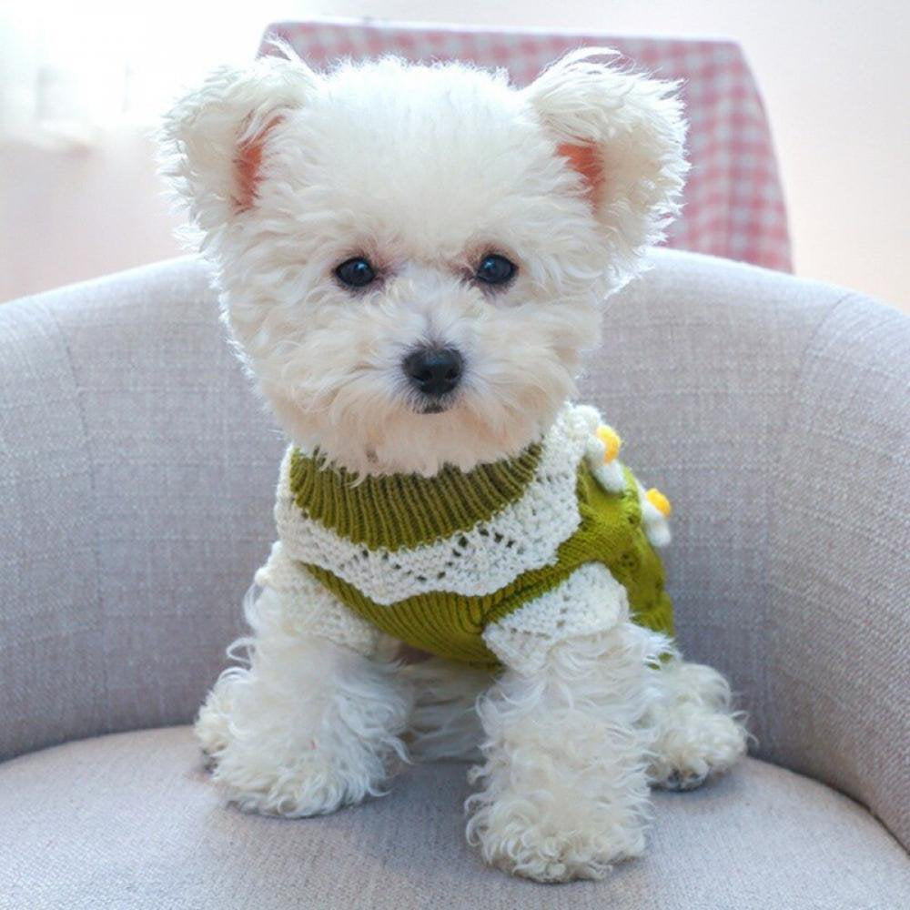 Promotion Clearance Dog Sweater Winter Coat Apparel Classic Flowers Blossoming Sweater Knit Clothes for Cold Weather, Green XS