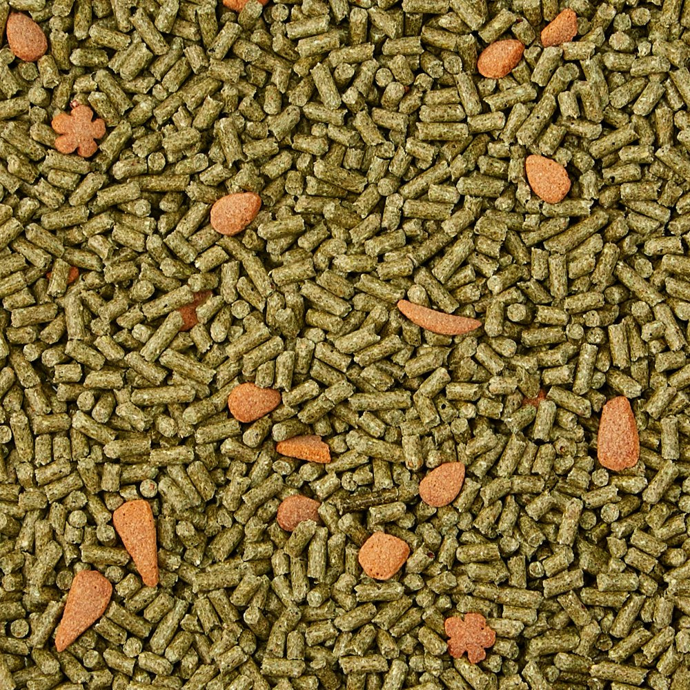 Kaytee Forti-Diet Pro Health Juvenile Rabbit Food 5Lb Animals & Pet Supplies > Pet Supplies > Small Animal Supplies > Small Animal Food Central Garden and Pet   