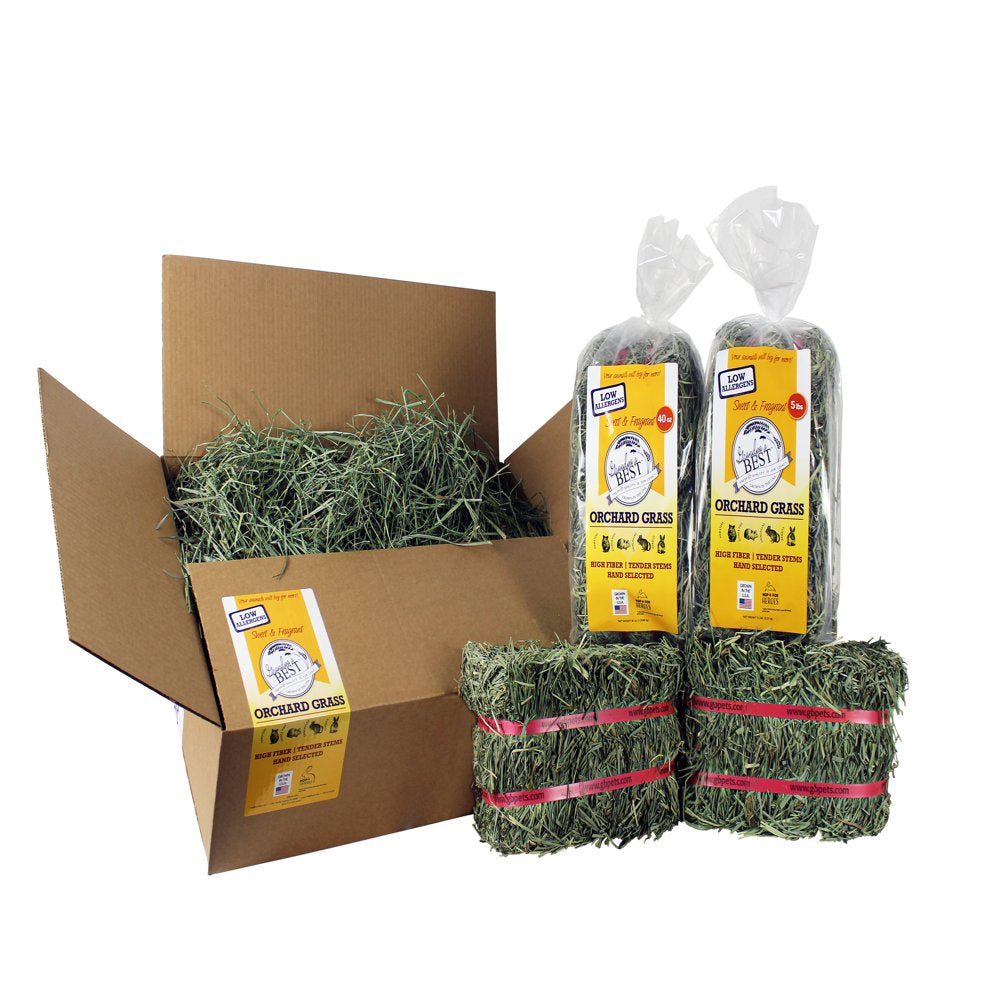 Grandpa'S Best Orchard Grass Hay Mini Bale for Small Animals - 5Lb Animals & Pet Supplies > Pet Supplies > Small Animal Supplies > Small Animal Food Grandpa's Best LLC   