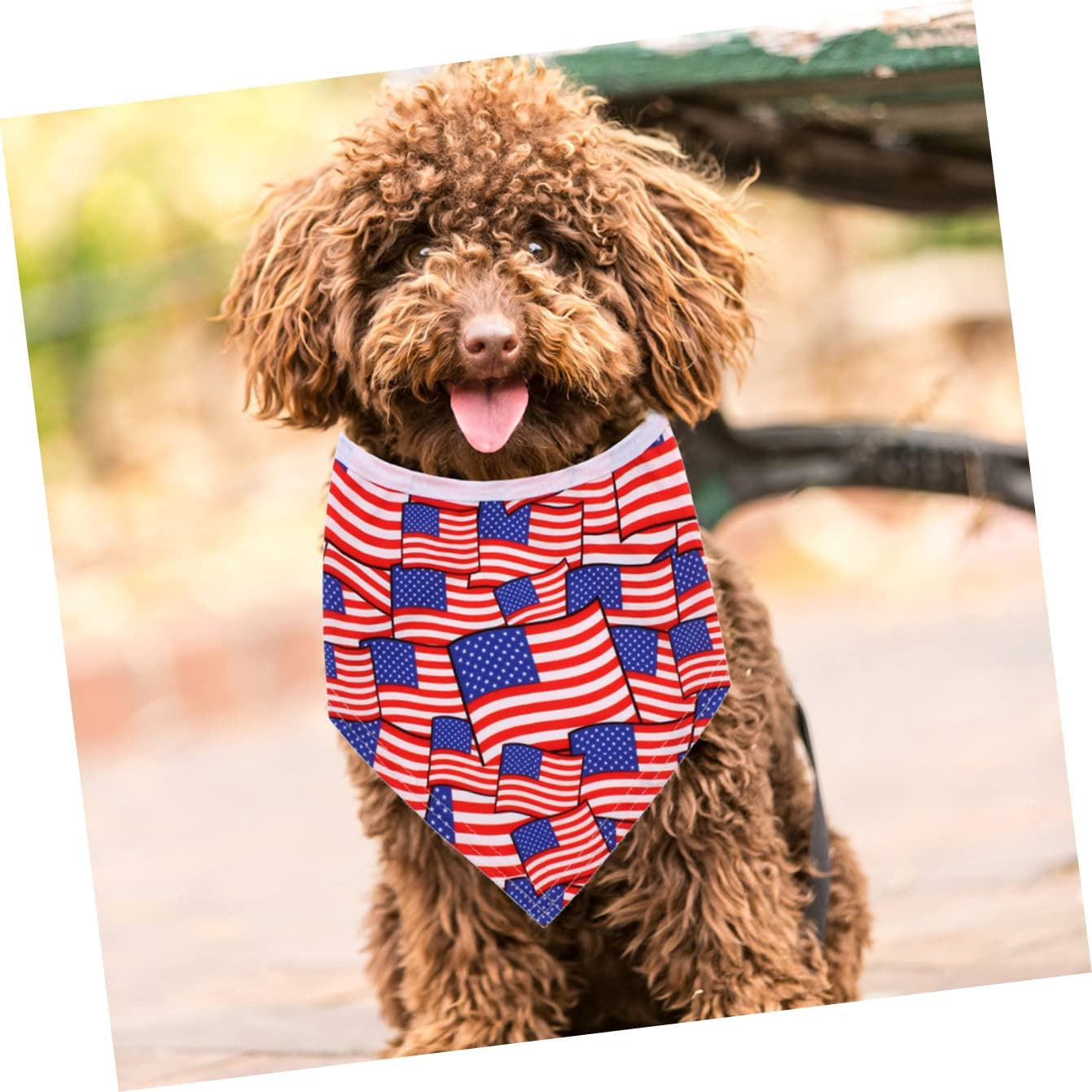 GLSTOY 2Pcs Hat Themed of Towel Birthday Bandana Th Flag Scarf Day Dog Cone Saliva Triangular Independence Festival Favors Party July Pattern American Bib Patriotic Costume Pet Animals & Pet Supplies > Pet Supplies > Dog Supplies > Dog Apparel GLSTOY   