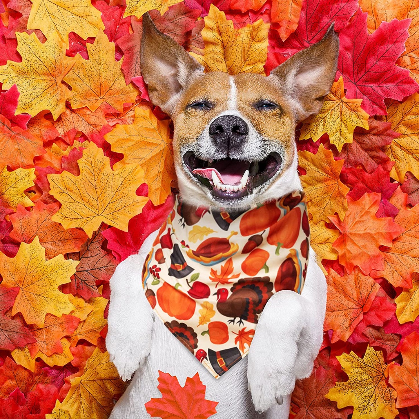 12 Pieces Thanksgiving Pet Bandana Fall Dog Bandanas Dog Fall Clothes Accessories Maple Leaf Pumpkin Patterned Autumn Pet Triangle Scarf Bibs for Large Small Dog Kerchief Cat Pet Fall Outfit Washable Animals & Pet Supplies > Pet Supplies > Dog Supplies > Dog Apparel Xuniea   