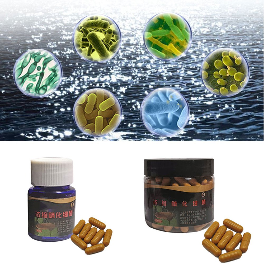 BINYOU Aquarium Nitrifying Bacteria Super Concentrated Capsule Fish Tank Pond Cleaning Water Purifier Supplies