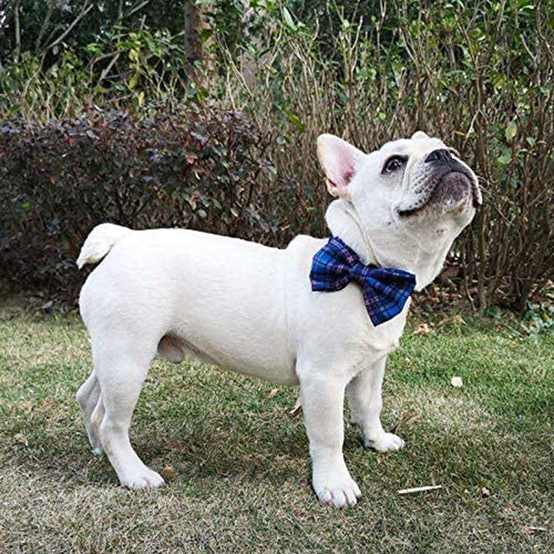 Pet Heroic Pet Dog Cat Collar with Grid Bow Tie, Adjustable Plaid Pet Dogs Cats Comfortable Durable Bowtie Collars for Small Medium Large Dogs Cats in 3 Styles Animals & Pet Supplies > Pet Supplies > Dog Supplies > Dog Apparel NingBo Pet Heroic supply co.,ltd   