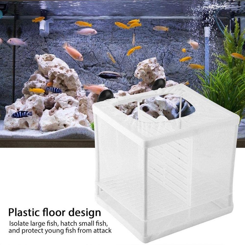 Aquarium Isolation Box Fish Tank Isolation Net Tropical Fish Peacock Anchovy Hatching Breeding Box with Partition Suction Cup Size Animals & Pet Supplies > Pet Supplies > Fish Supplies > Aquarium Fish Nets Pangheng   