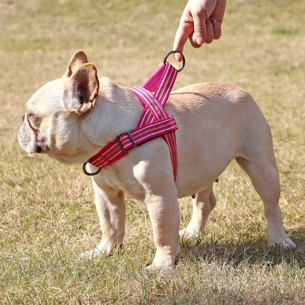 SXNBH No Pull Pet French Bulldog Harness Vest Nylon Padded Dog Harness Reflective Harnesses for Small Medium Large Dogs ( Color : E , Size : XL ) Animals & Pet Supplies > Pet Supplies > Dog Supplies > Dog Apparel chuju   