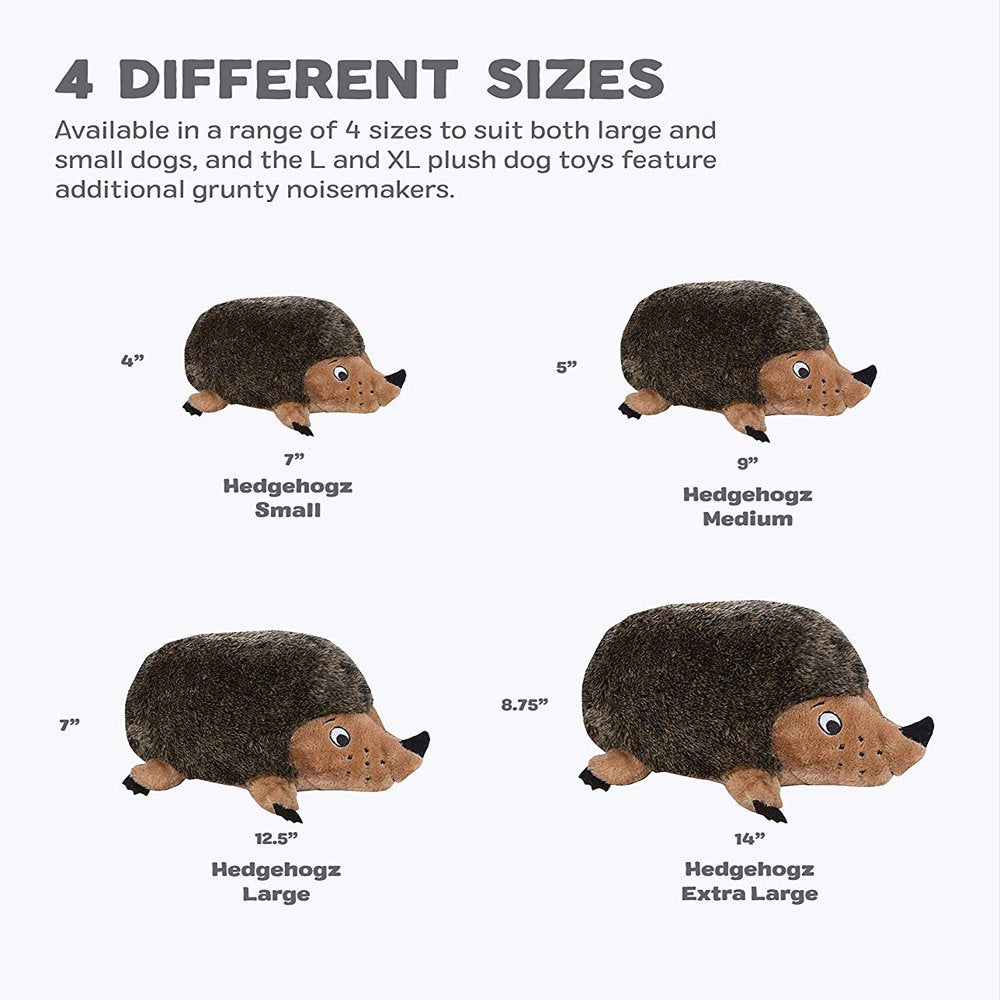 Outward Hound Hedgehogz Grunting Plush Dog Toy, Brown, Medium Animals & Pet Supplies > Pet Supplies > Dog Supplies > Dog Toys Outward Hound Holdings   