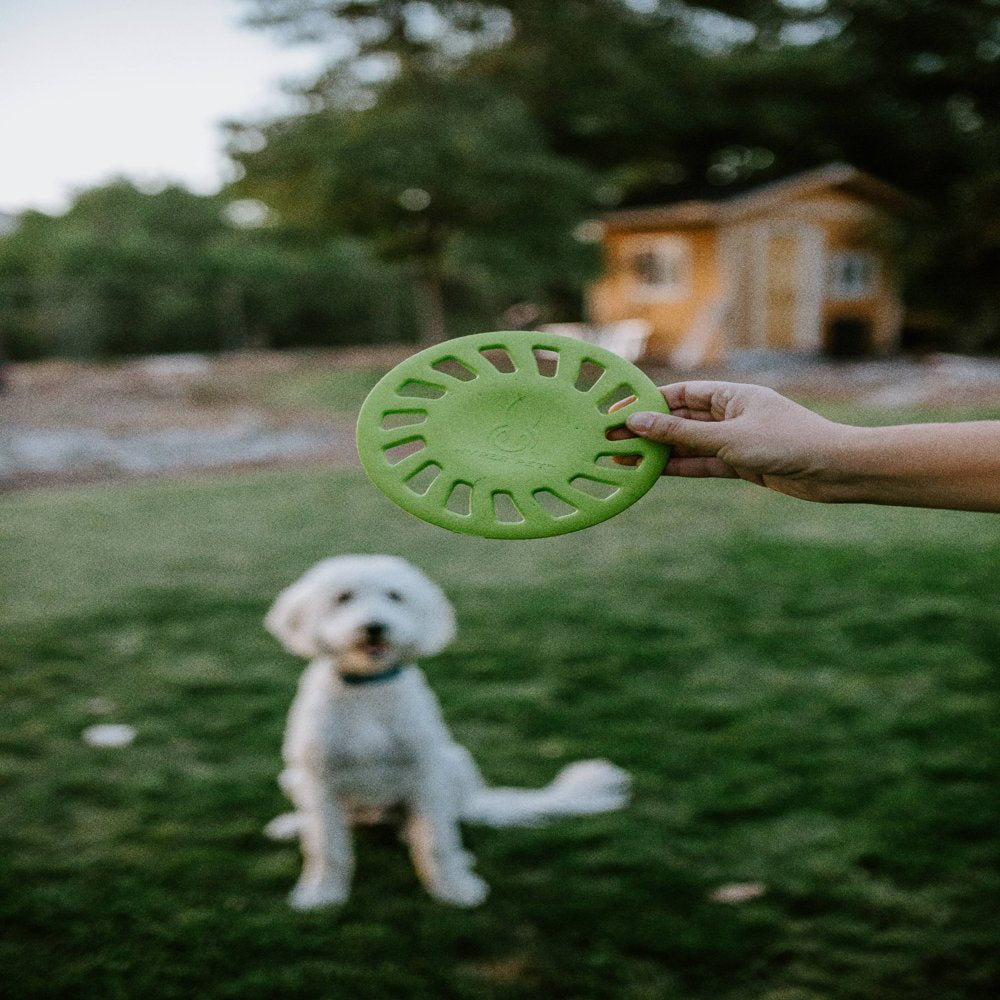 Hyper Pet Hubcap Durable EVA Foam Dog Chew Toy, Green Animals & Pet Supplies > Pet Supplies > Dog Supplies > Dog Toys Hyper Pet   